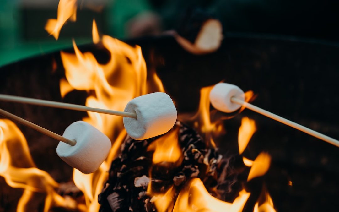 selective focus photography of marshmallows on fire pit