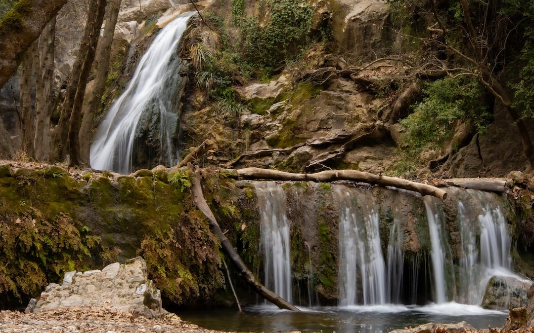 a small waterfall in the middle of a forest