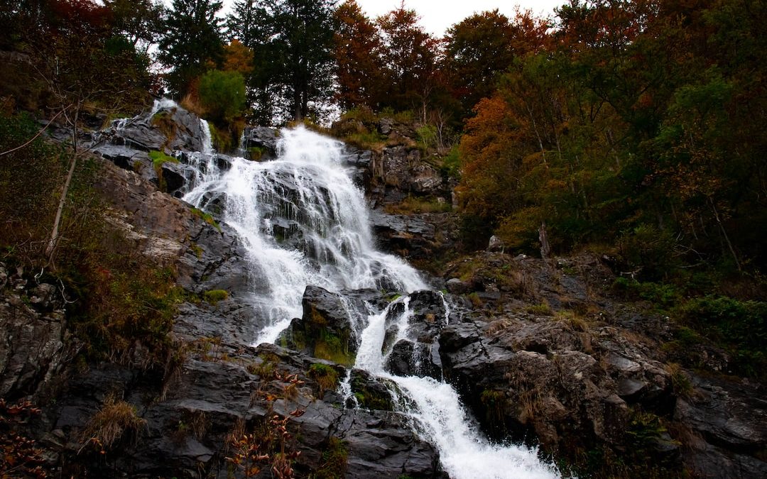 water falls in the forest