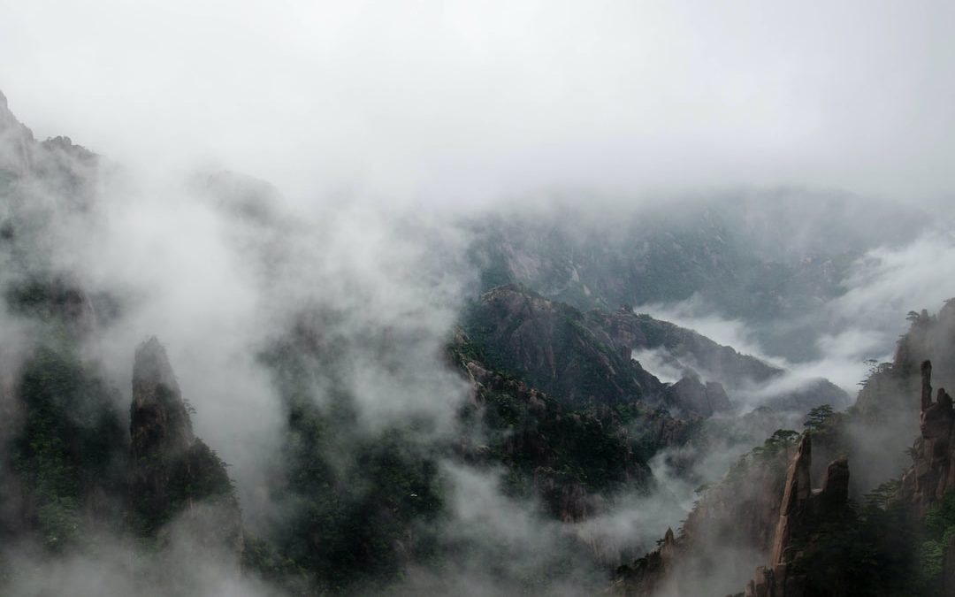 mountains covered with fog