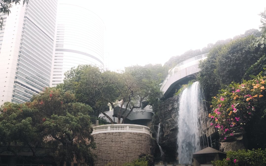 green trees near water fountain