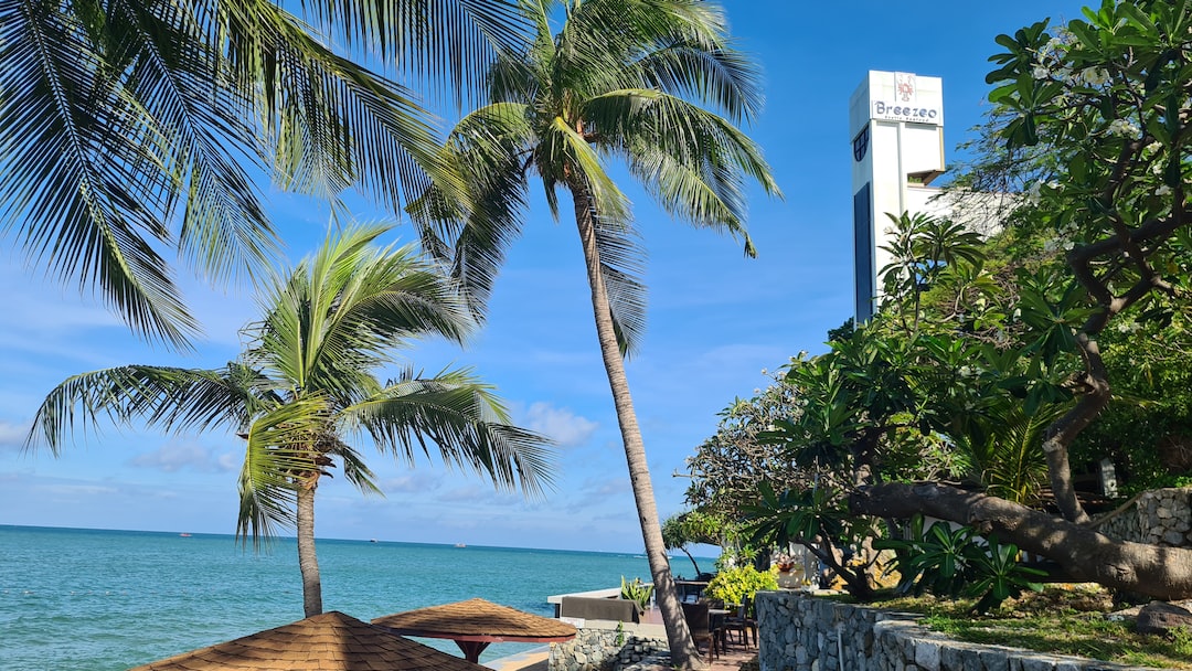 palm trees and a building by the water