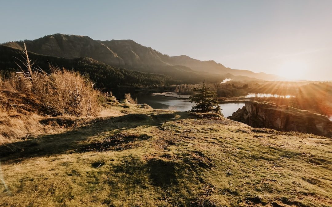 brown grass field near lake during daytime