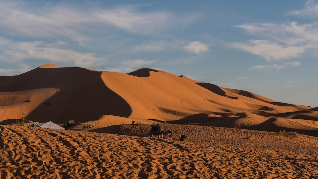 a group of people sitting on top of a sandy hill