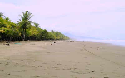 Eco-Friendly Beach Getaways in the Philippines