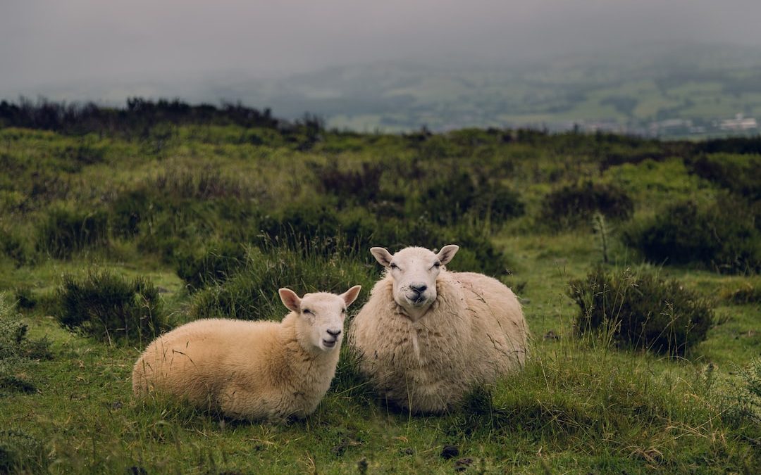 The Best Hiking Spots in England