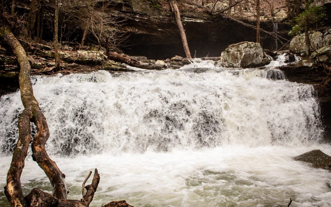 a large waterfall in the middle of a forest