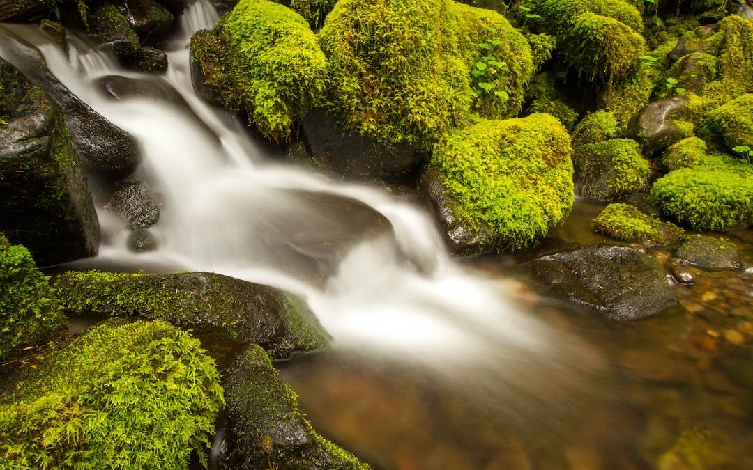 waterfalls surrounded by trees during daytime