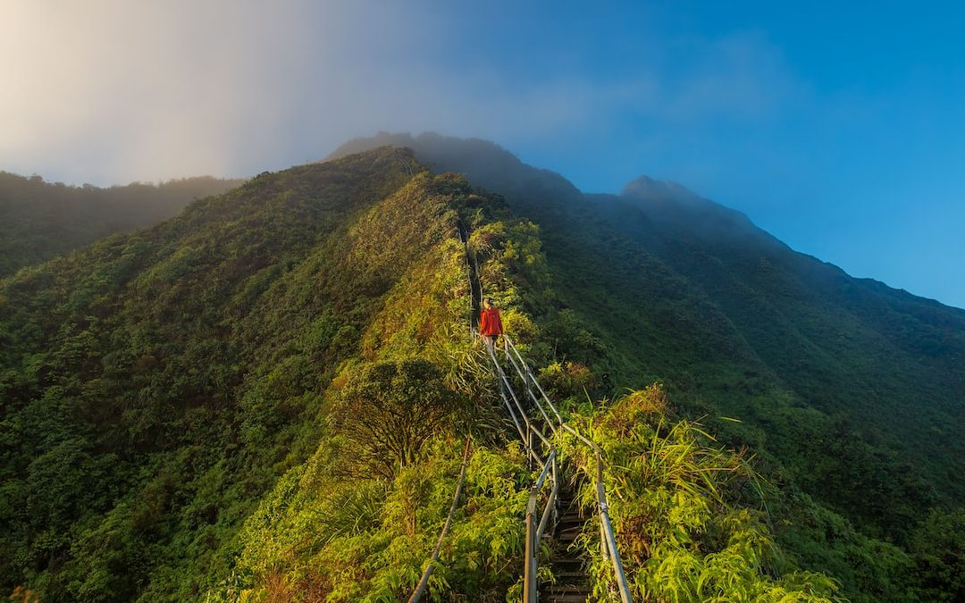 aerial photography of mountain bridge