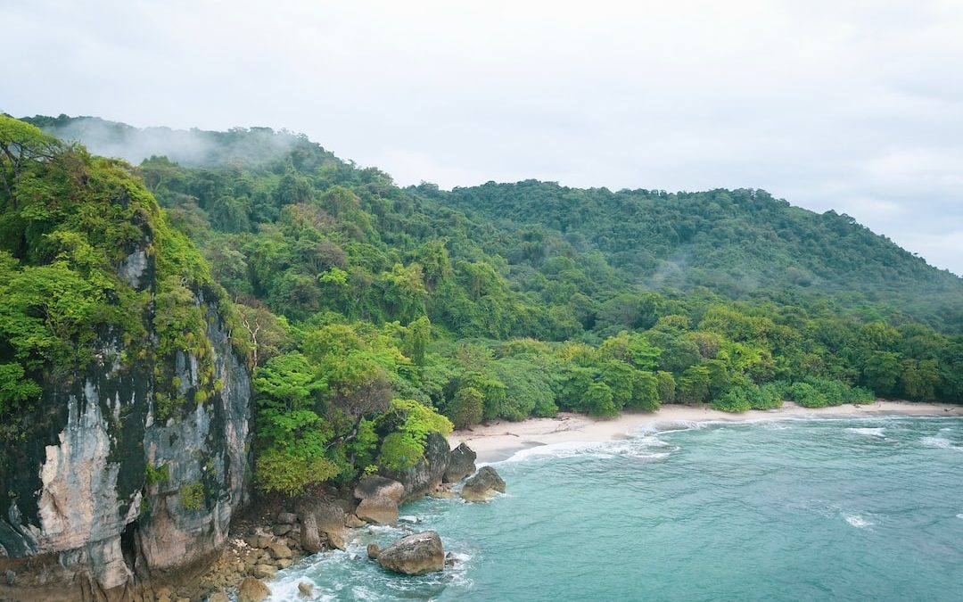 birds eye photography of sea