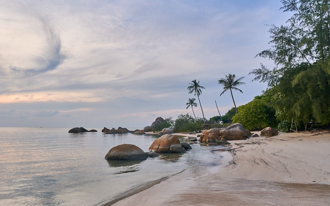 a beach with rocks and trees