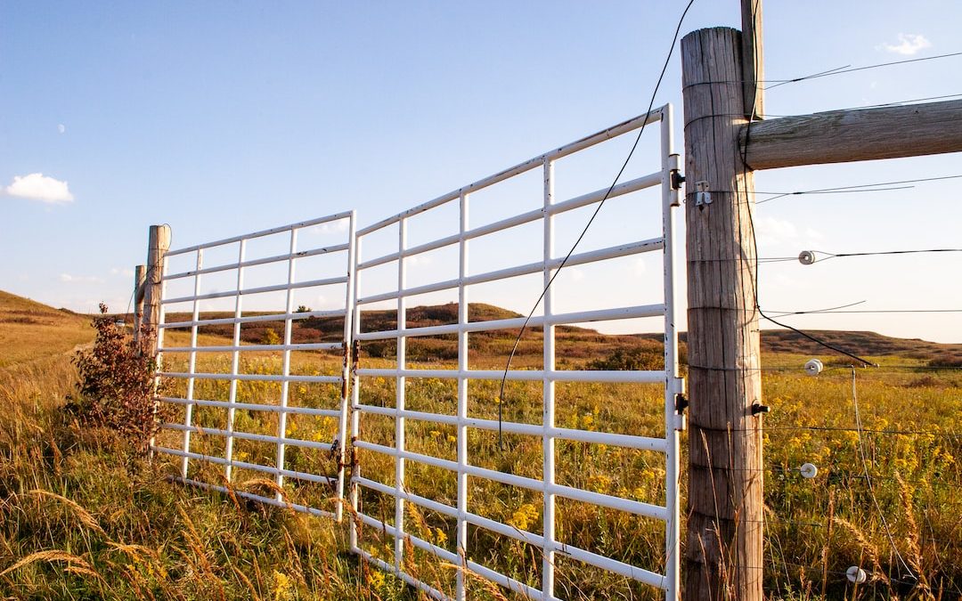 white metal fence on brown grass field under blue sky during daytime