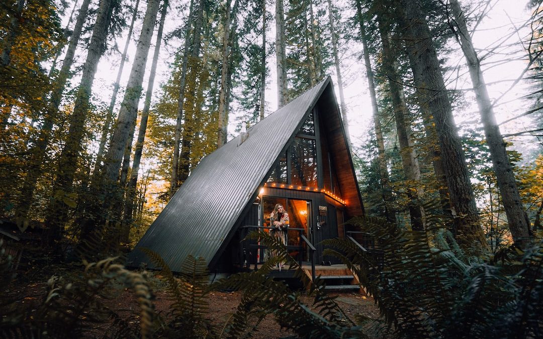 brown wooden house in the woods