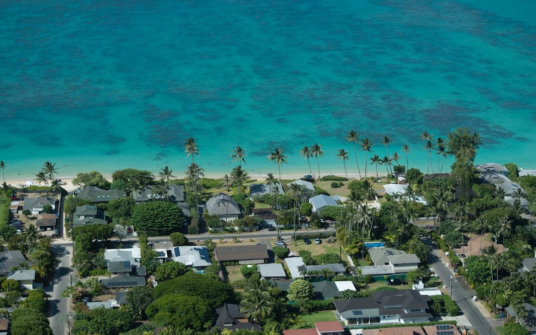 aerial view of beach during daytime