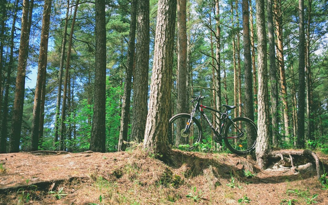 black mountain bike in forest