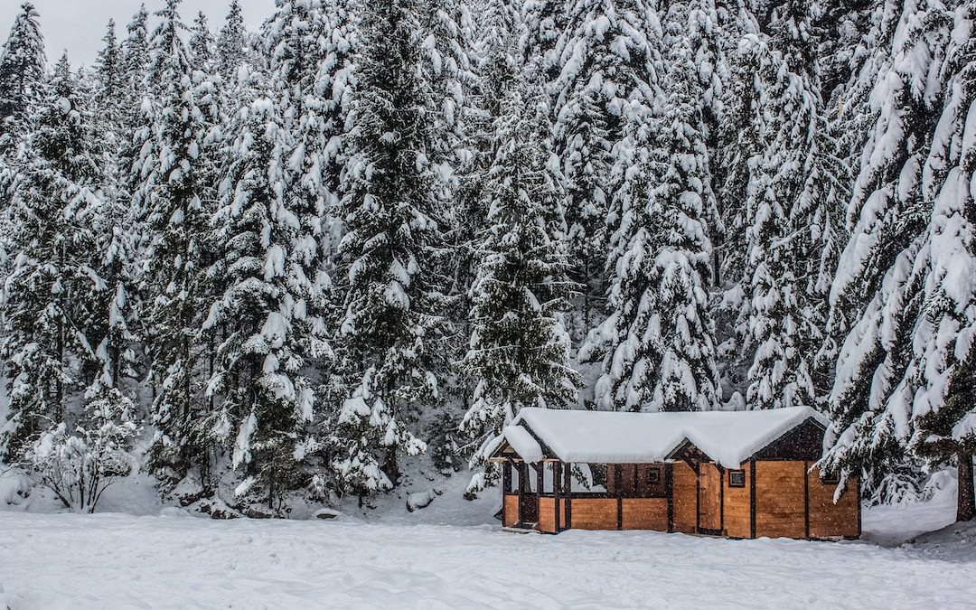 a cabin in the middle of a snowy forest