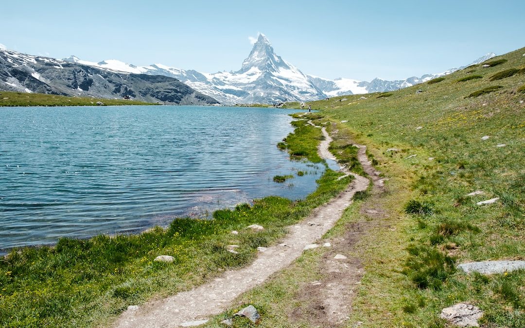 body of water near green grass