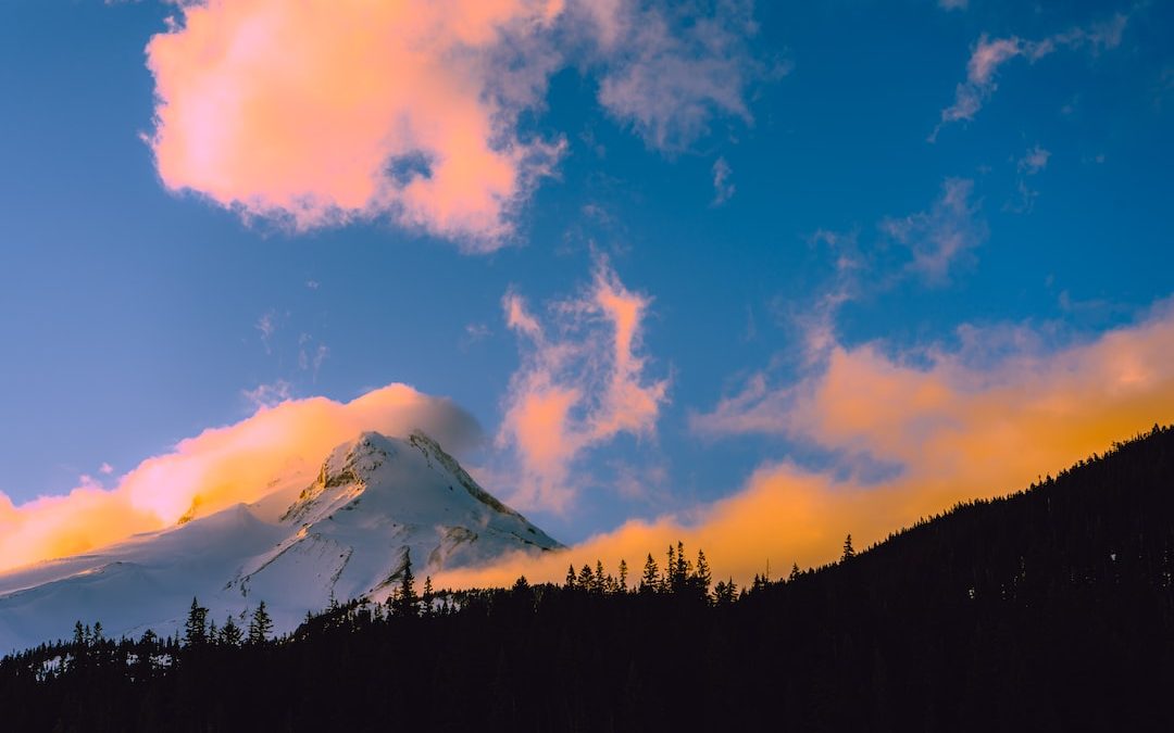 a mountain covered in clouds and trees under a blue sky