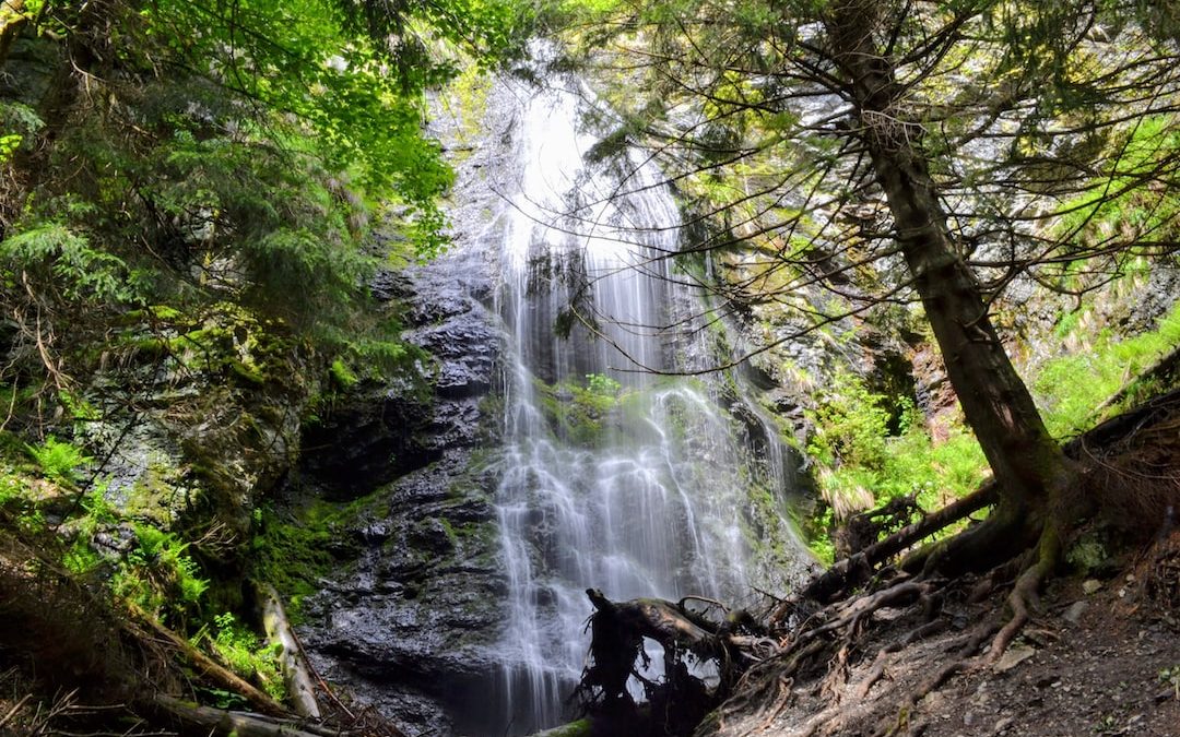 waterfalls in the middle of the forest