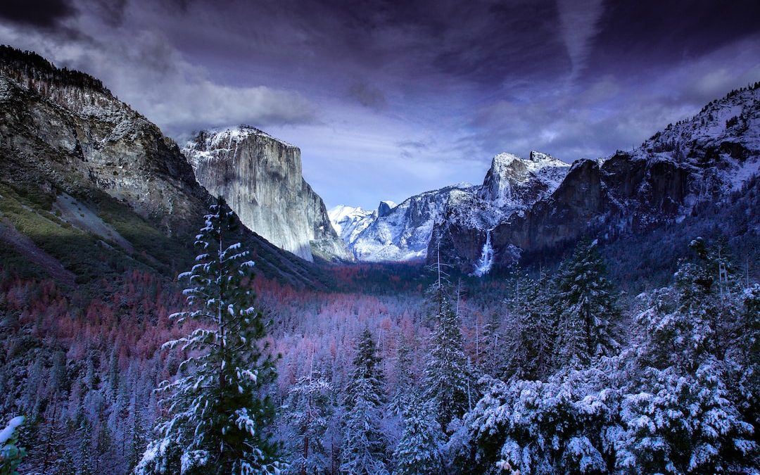 photo of mountains and trees