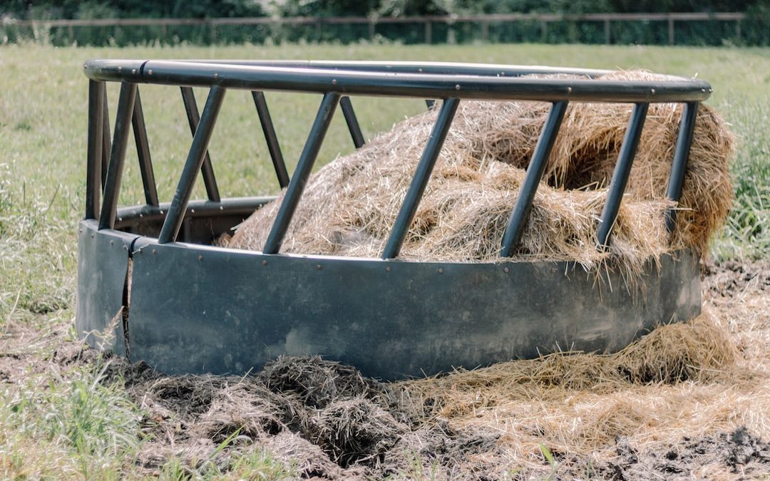 a hay bale in the middle of a field