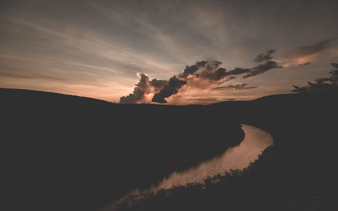 aerial photography of body of water between trees