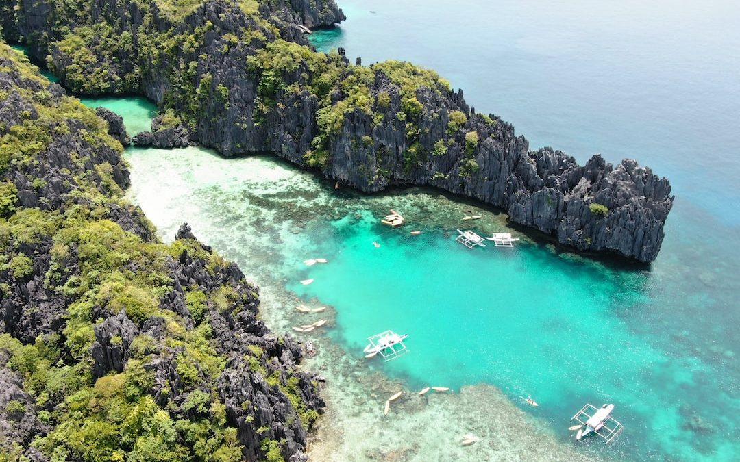 aerial view of green and brown island during daytime