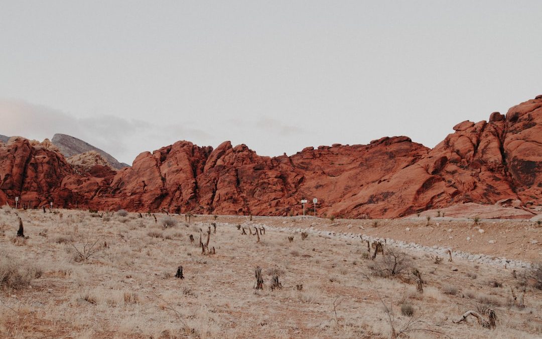 landscape photography of mountain