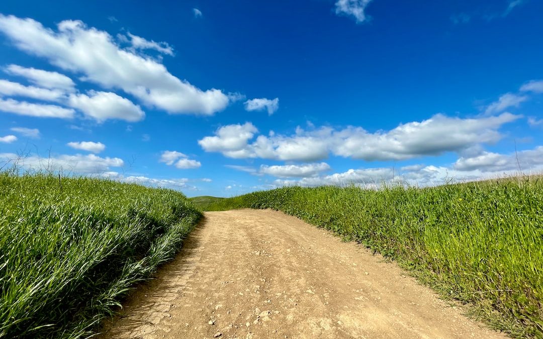 a dirt road in the middle of a field