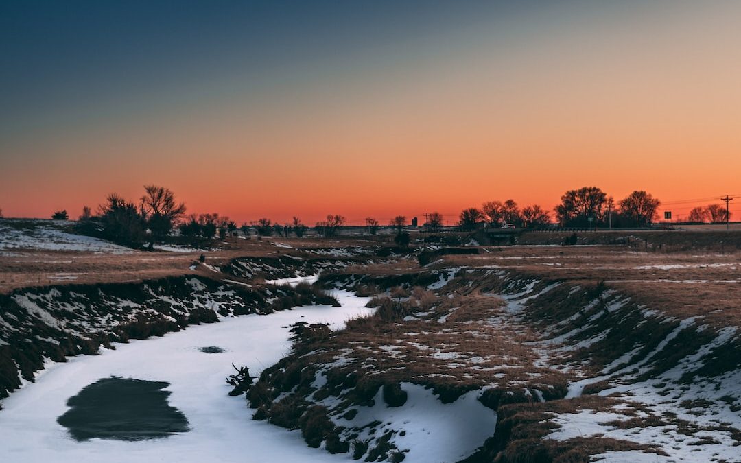 body of water between trees during sunset