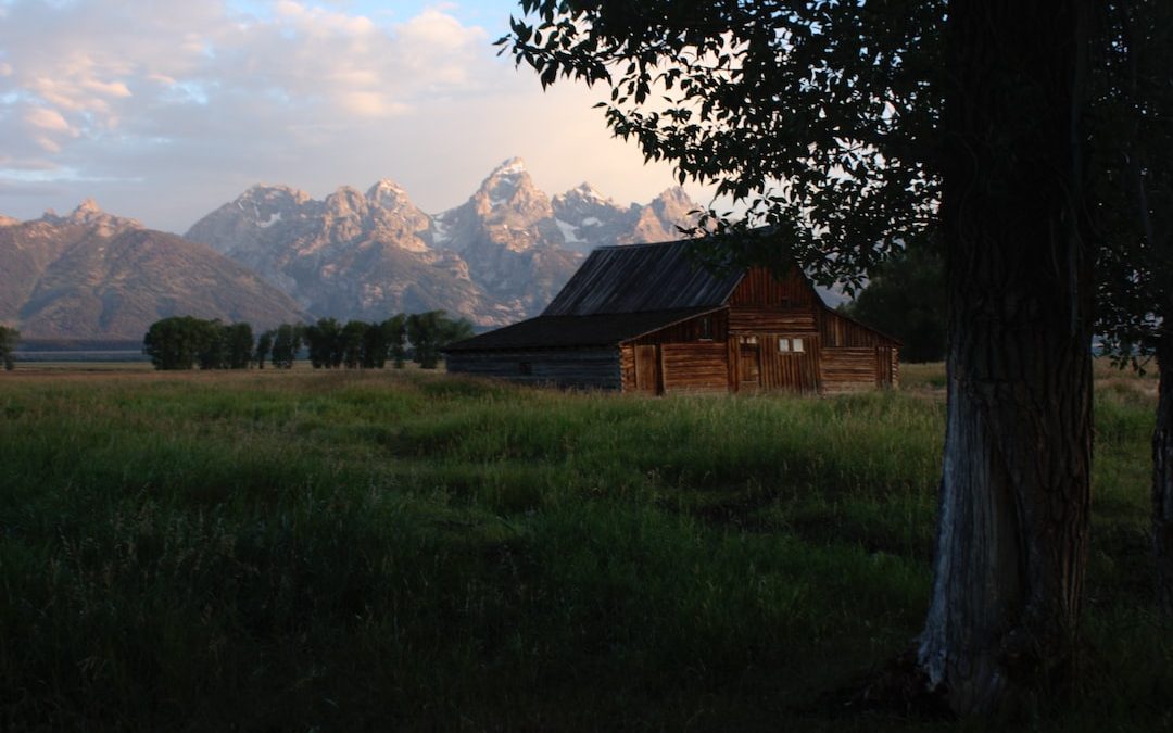 house on grass field near mountain