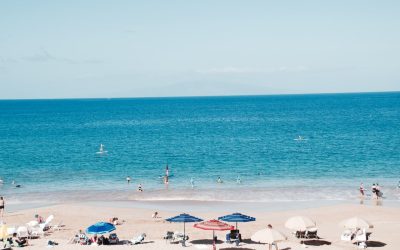 Exploring the Best Beach Destinations in Florida