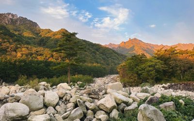 Exploring South Korea’s Natural Wonders