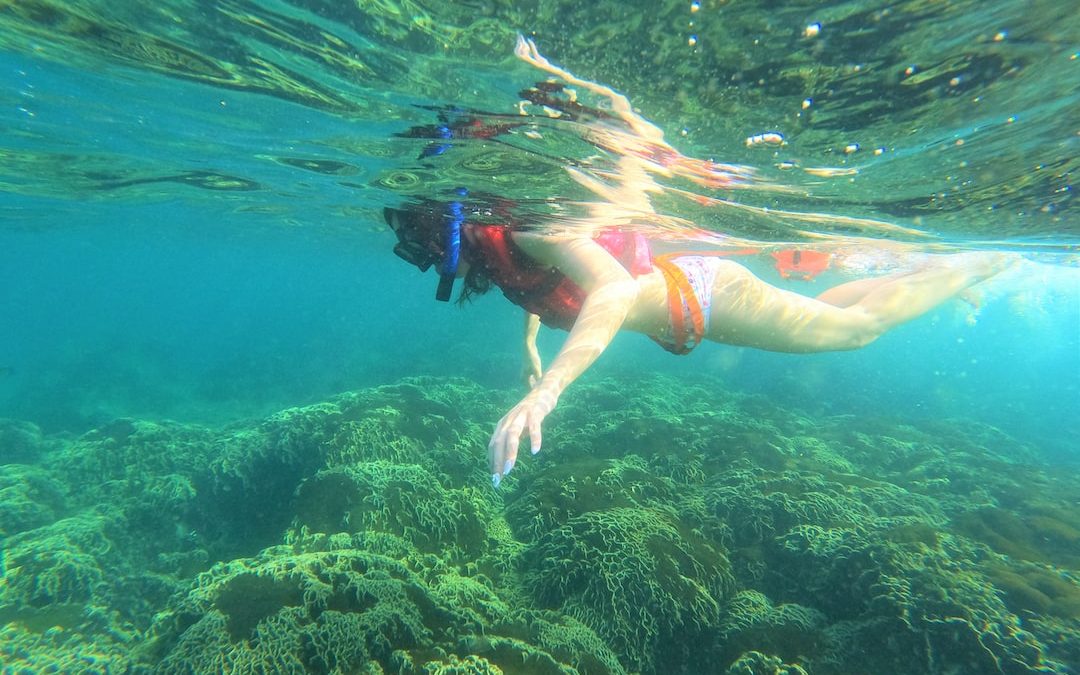 a woman in a bikini swims in the ocean