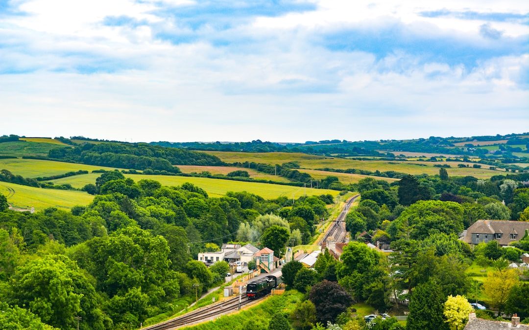 aerial photo of houses near trees during daytime