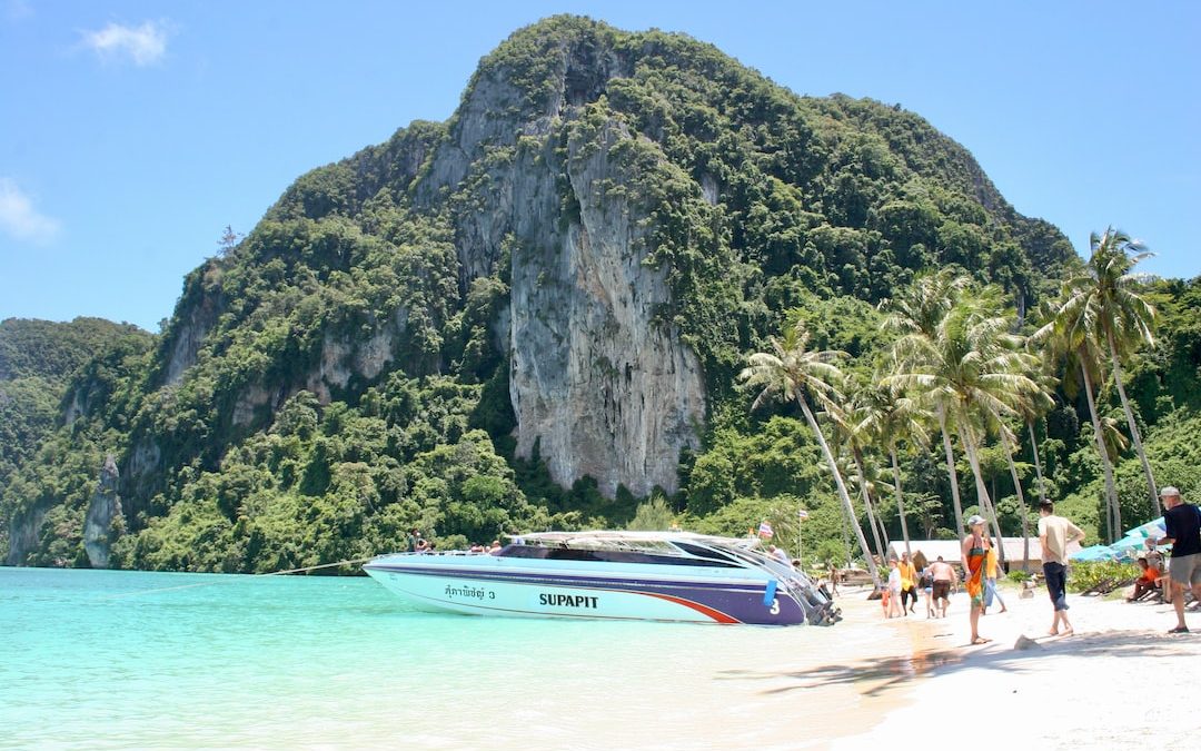 a boat on the beach