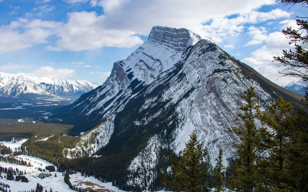 a snow covered mountain with trees in the foreground