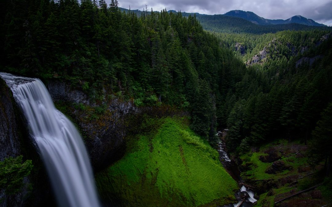 reel view of waterfalls