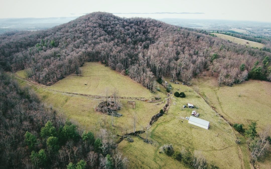 aerial photograph of a forest