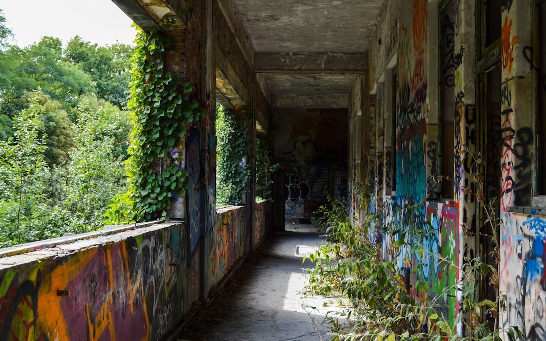 green plants on brown wooden wall