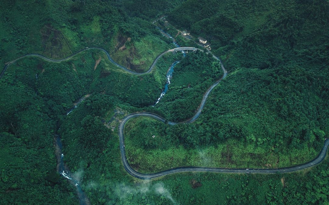 aerial photography of green grass field