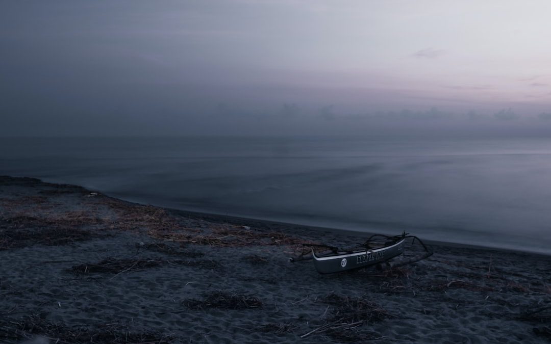 white boat on seashore during daytime