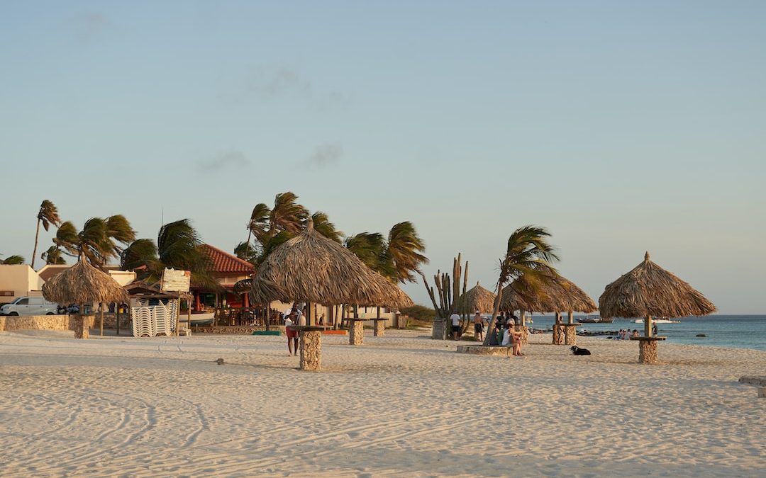 a sandy beach with thatched umbrellas and palm trees
