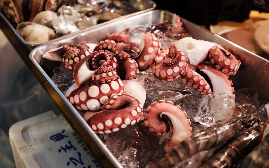 octopus on gray tray