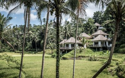 The Ultimate Guide to Accommodations in Ubud