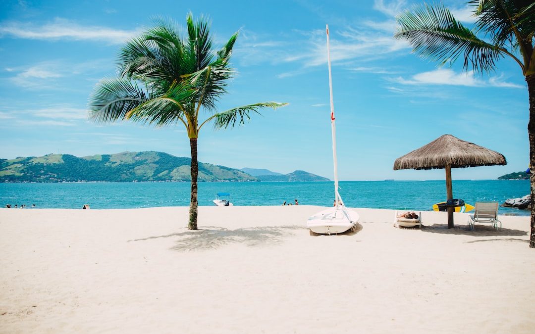 coconut tree near shore within mountain range