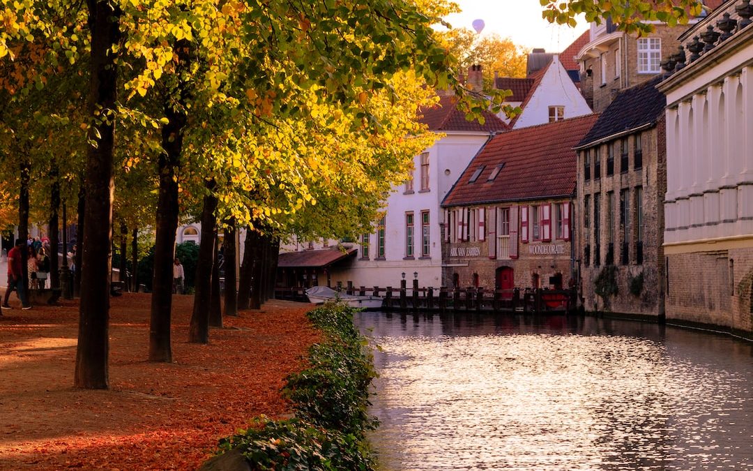 calm river during daytime