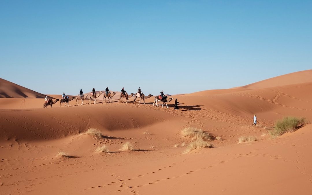 eight person riding on camel in the desert