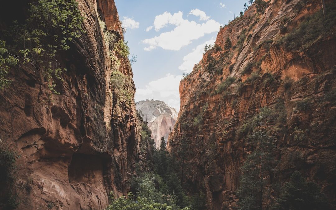 The Ultimate Guide to Eating In Zion National Park