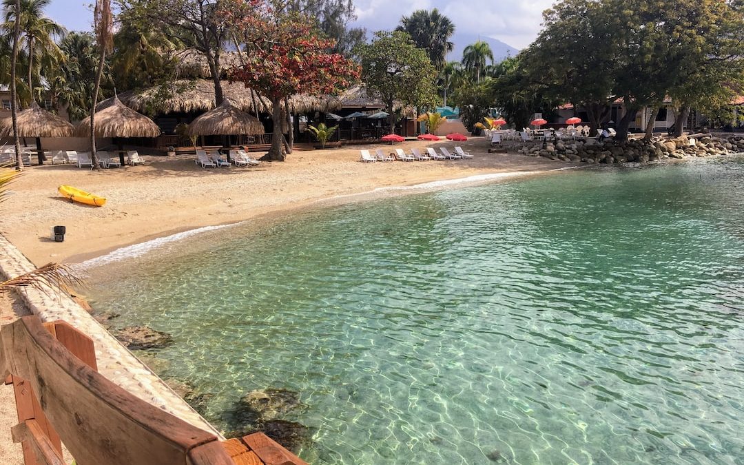 people swimming on beach during daytime